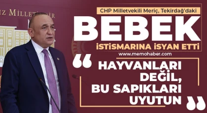CHP Milletvekili Meriç, Tekirdağ'daki Bebek İstismarına İsyan Etti