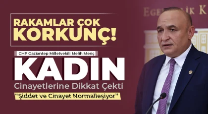 CHP'li Meriç, Kadın Cinayetlerine Dikkat Çekti