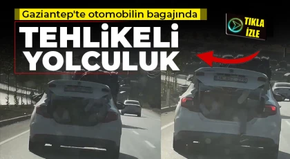 Gaziantep'te otomobilin bagajında tehlikeli yolculuk