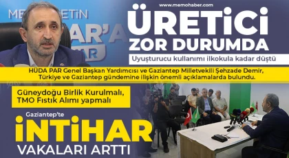 Güneydoğu Birlik Kurulmalı, TMO Fıstık Alımı yapmalı