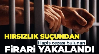 Hırsızlık suçundan cezası bulunan firariyi jandarma yakaladı