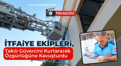İtfaiye Ekipleri, Takılı Güvercini Kurtararak Özgürlüğüne Kavuşturdu