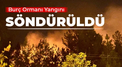 Burç Ormanındaki yangın korkuttu! İtfaiye müdahale etti