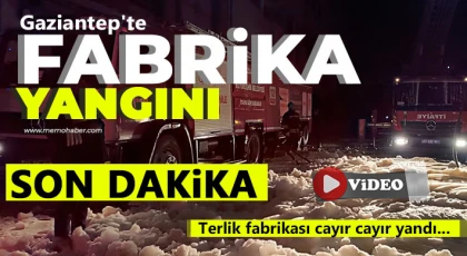 Gaziantep'te fabrika yangını! Cayır cayır yandı