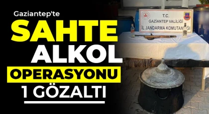 Gaziantep'te sahte alkol operasyonu: 1 gözaltı