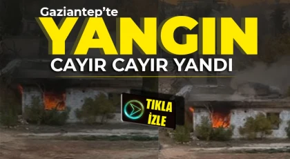Mücahitler'de yangın! Cayır cayır yandı