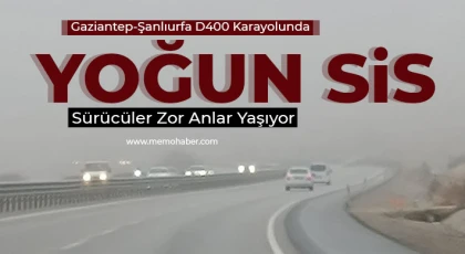 Gaziantep-Şanlıurfa D400 Karayolunda Yoğun Sis: Sürücüler Zor Anlar Yaşıyor