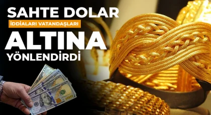 Sahte dolar iddiaları vatandaşları altına yönlendirdi