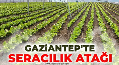 Gaziantep'te sera bölgesi kuruluyor