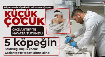 5 köpeğin saldırdığı küçük çocuk Gaziantep'te tedavi altına alındı