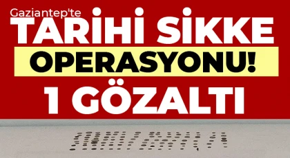 Gaziantep'te 105 adet tarihi sikke ele geçirildi: 1 gözaltı