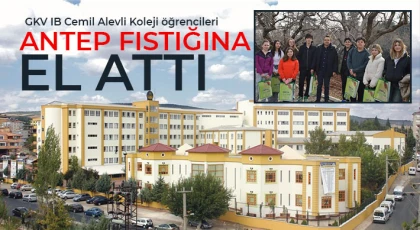 GKV IB Cemil Alevli Koleji öğrencileri Antep fıstığına el attı