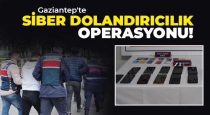 Siber dolandırıcılara jandarma darbesi: 8 gözaltı