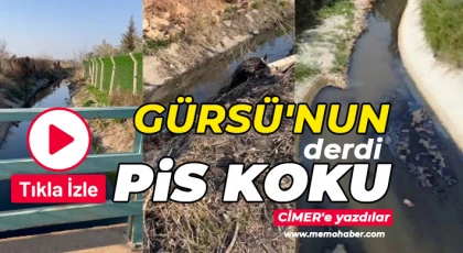 Gürsü'nun derdi, pis koku!