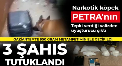 Narkotik köpek Petra'nın tepki verdiği valizden uyuşturucu çıktı