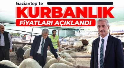 Başkan Tahmazoğlu Kurban Fiyatlarını Açıkladı