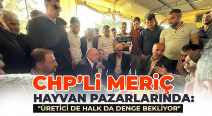 CHP'li Meriç: Ucuz Etin Faturası Ağır: Ne Üretici Kazanıyor Ne Tüketici Huzurlu