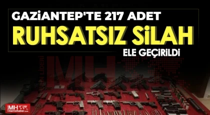 Gaziantep'te 1 ayda 217 adet ruhsatsız silah ele geçirildi