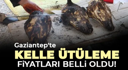 Gaziantep'te kelle ütüleme fiyatları belli oldu!