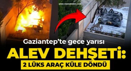 Gaziantep'te otoparktaki 2 lüks araç yanarak küle döndü