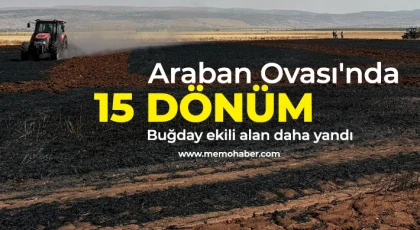 Araban Ovası'nda 15 dönüm buğday ekili alan daha yandı