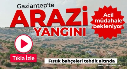 Gaziantep'te arazi yangını! Acil müdahale bekleniyor