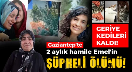 Gaziantep'te Emel'in şüpheli ölümü! Acılı anne, kızından geriye kalan kedilere kavuştu