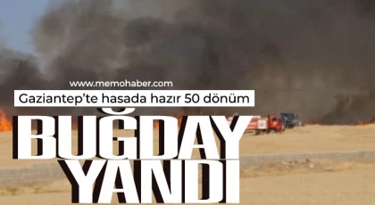 Gaziantep'te hasada hazır 50 dönüm buğday yandı