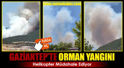 Gaziantep’te orman yangını