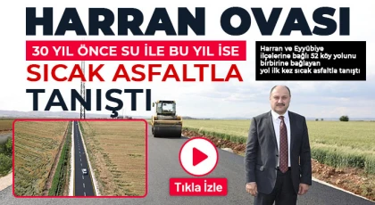 Harran Ovası 30 yıl önce su ile bu yıl ise sıcak asfaltla tanıştı