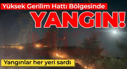 Yüksek gerilim hattı bölgesinde arazi yanıyor!