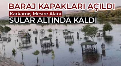 Baraj Kapakları Açıldı, Karkamış Mesire Alanı Sular Altında Kaldı
