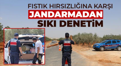  Fıstık hırsızlığına karşı jandarmadan sıkı denetim