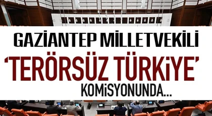 Gaziantep milletvekili TBMM'de Terörsüz Türkiye Komisyonunda yer alacak