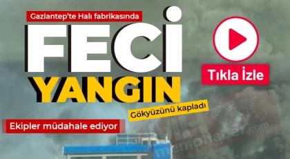 Gaziantep’te halı fabrikasında feci yangın