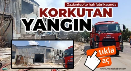 Gaziantep'te halı fabrikasında yangın