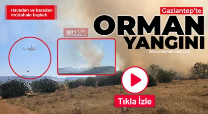 Gaziantep’te orman yangını!
