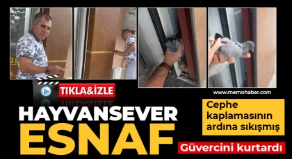Hayvansever esnaf güvercini kurtardı 