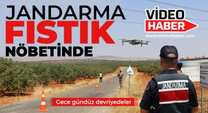 Jandarma fıstık nöbetinde