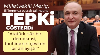 Milletvekili Meriç, 15 Temmuz bayrak talimatına tepki gösterdi