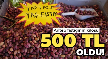 Antep fıstığı tezgahlarda yerini aldı