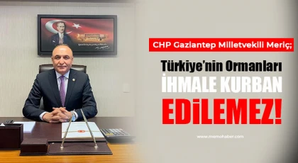 CHP’li Meriç: Türkiye’nin ormanları ihmale kurban edilemez