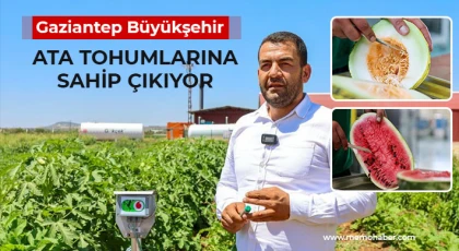 Gaziantep Büyükşehir, ata tohumlarına sahip çıkıyor