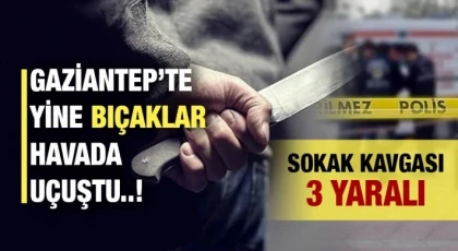 Gaziantep’te mahalle kavgasında kan aktı 