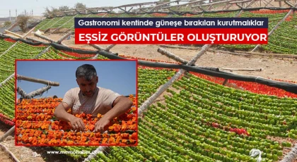 Kurutmalık sezonunun devam ettiği Gaziantep'te yüksek tepeler kırmızı-yeşile büründü