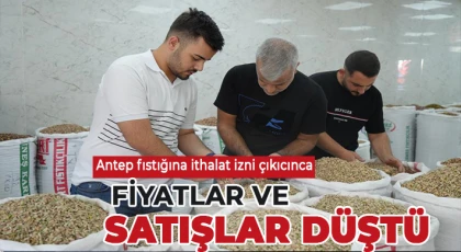 Antep fıstığına ithalat izni çıkıcınca fiyatlar ve satışlar düştü