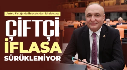 Antep Fıstığında İhracatçıdan İthalatçıya: Çiftçi İflasa Sürükleniyor