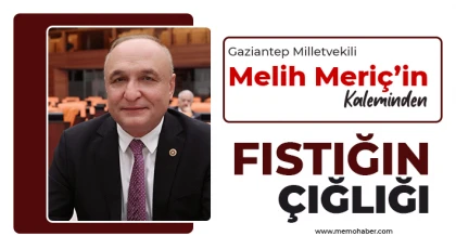 Fıstığın Çığlığı