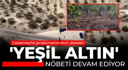 Gaziantep'te jandarmanın dron destekli 'yeşil altın' nöbeti devam ediyor