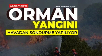 Gaziantep’te orman yangını